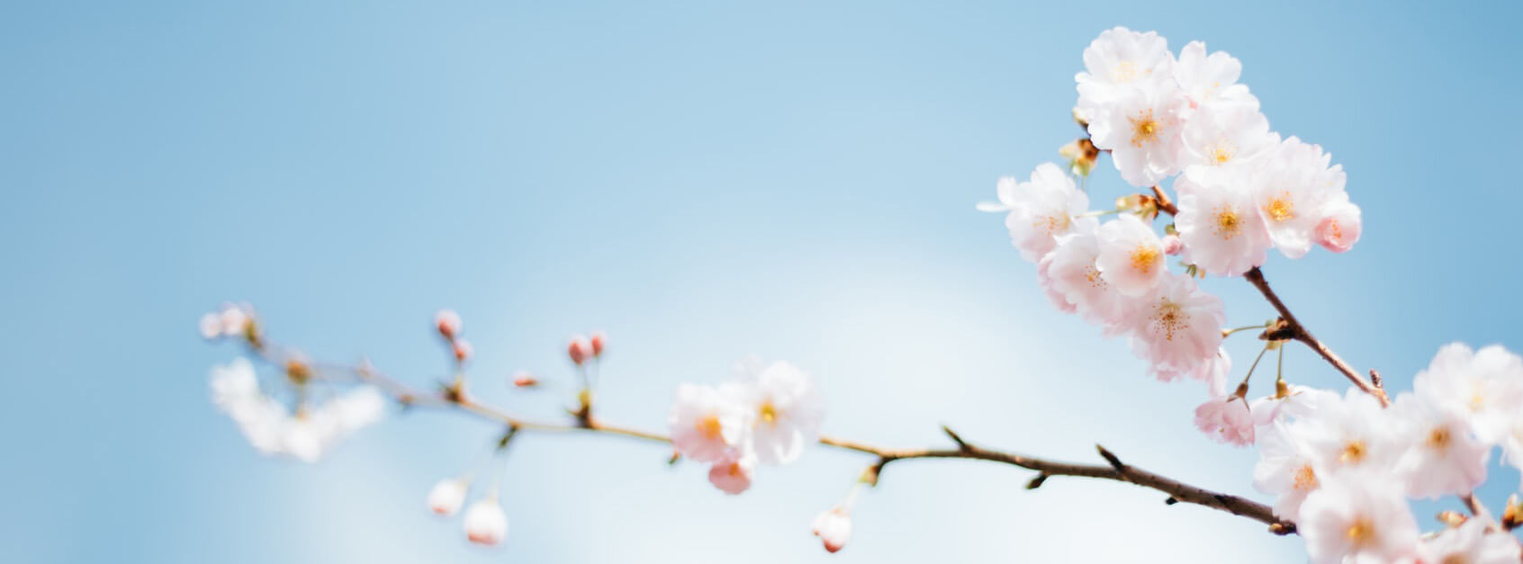 明连同学